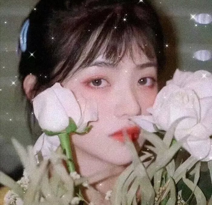 我们的歌第六季 在线观看